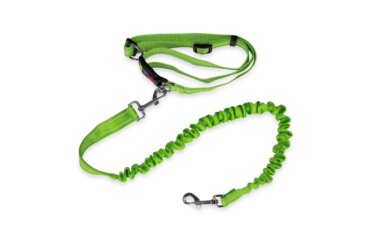 Qeridoo Joggerband – Ansicht 2